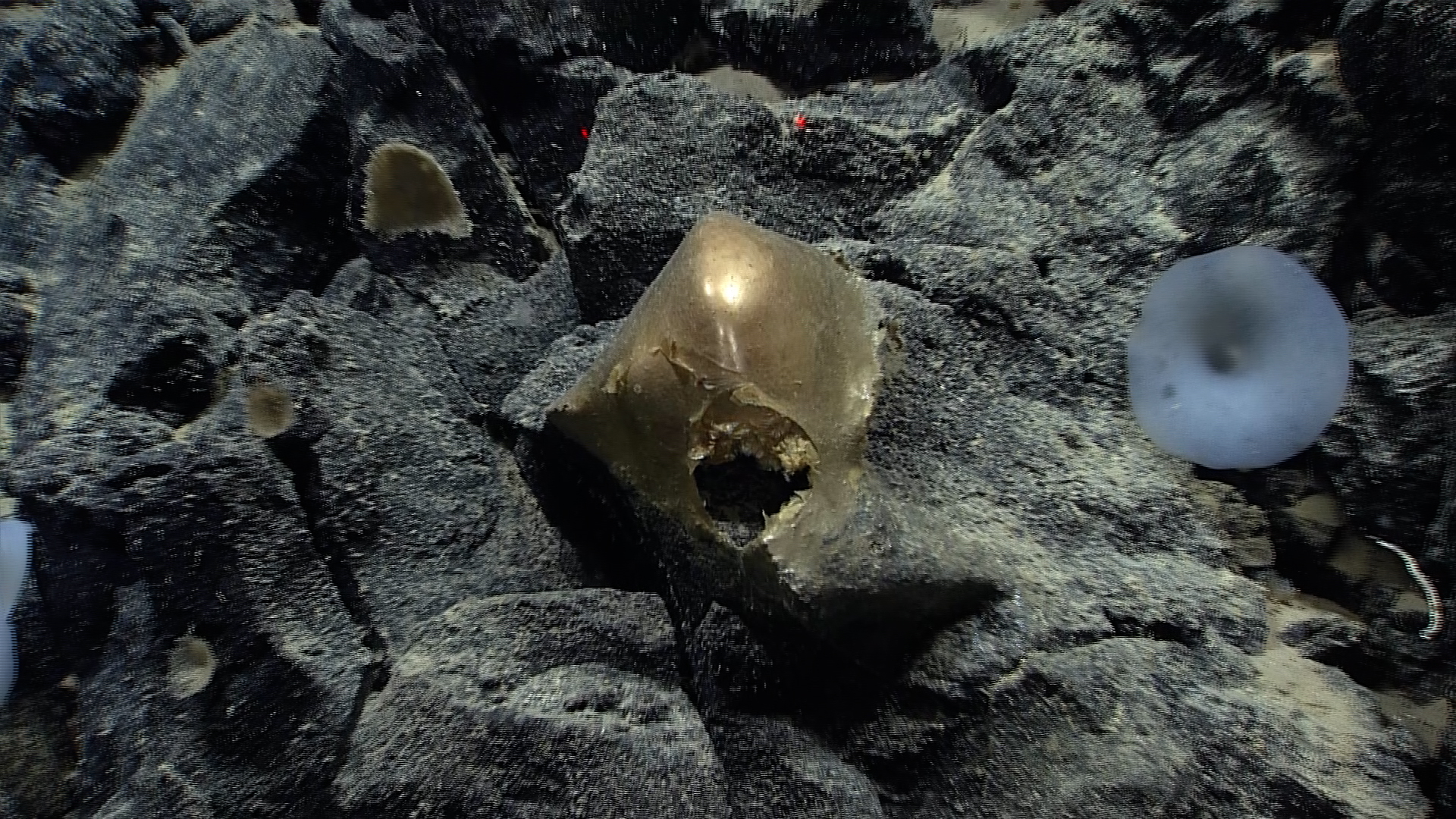 NOAA graphic announcing that the mysterious golden orb has been identified.